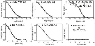 Concurrent Exposure of Neutralizing and Non-neutralizing Epitopes on a Single HIV-1 Envelope Structure